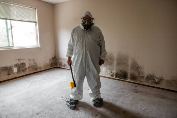 Best Commercial Mold Remediation in Harrison, NJ